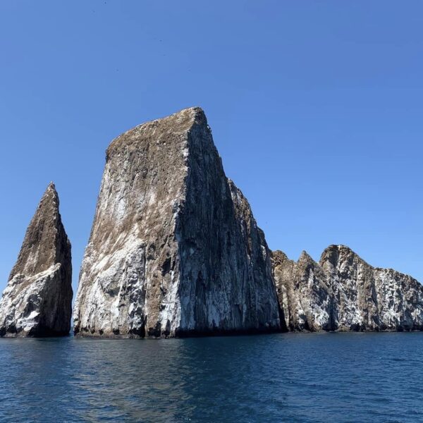 Kicker Rock Tour - Galapagos Xcursion