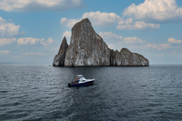 Kicker Rock tour charter - Image 4