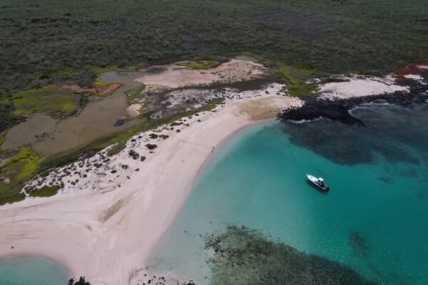 Kicker Rock tour charter - Image 3