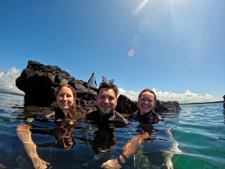 Cabo Rosa Galapagos | Los Tuneles Tour in Isabela