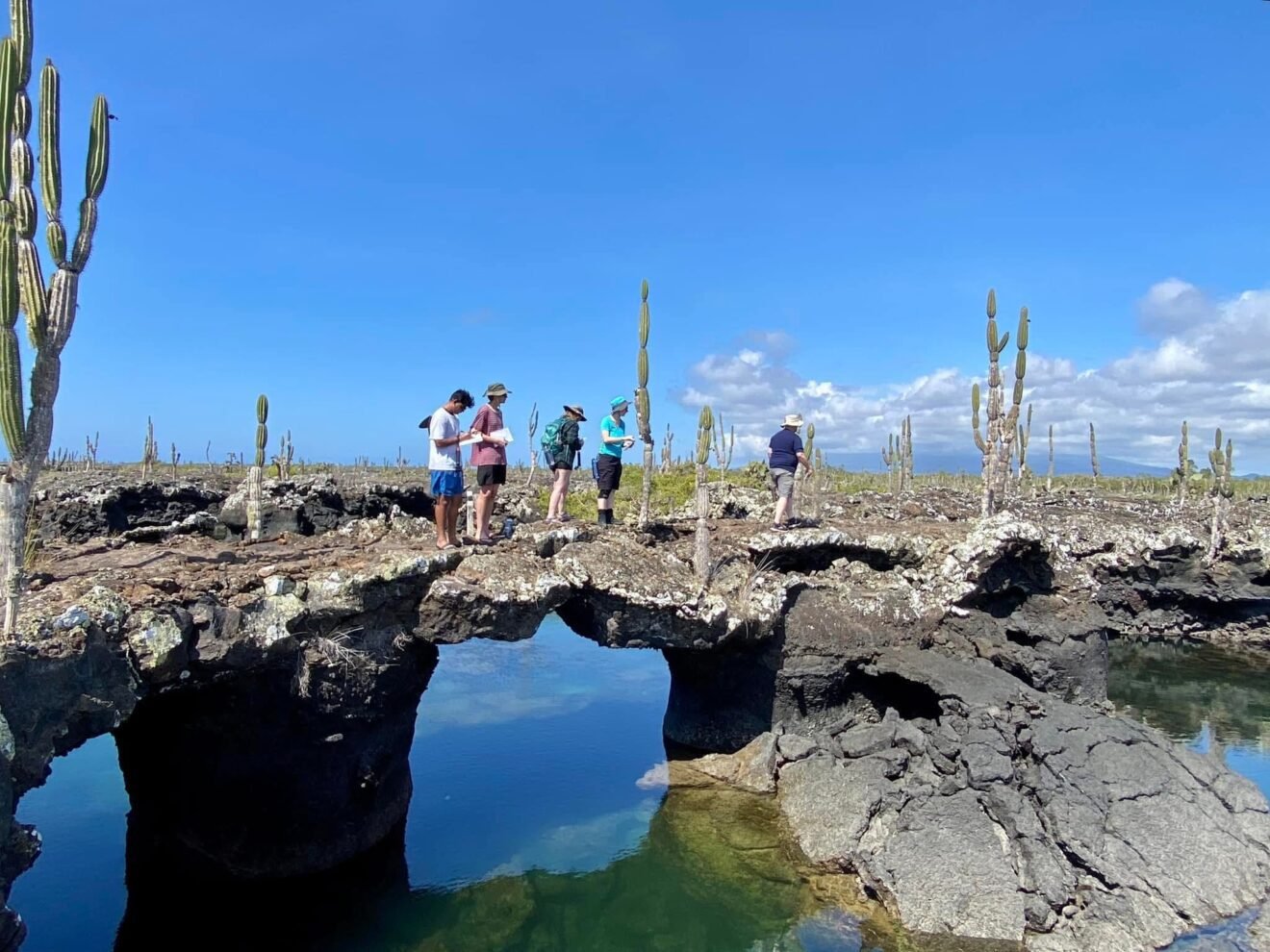 Cabo Rosa Galapagos | Los Tuneles Tour in Isabela
