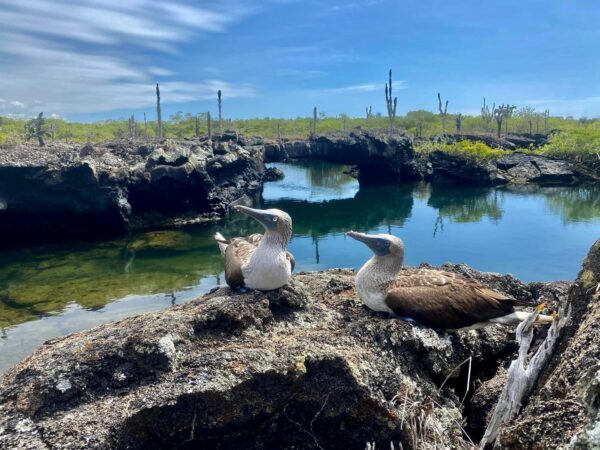 Los Túneles de Cabo Rosa Tour - Image 2