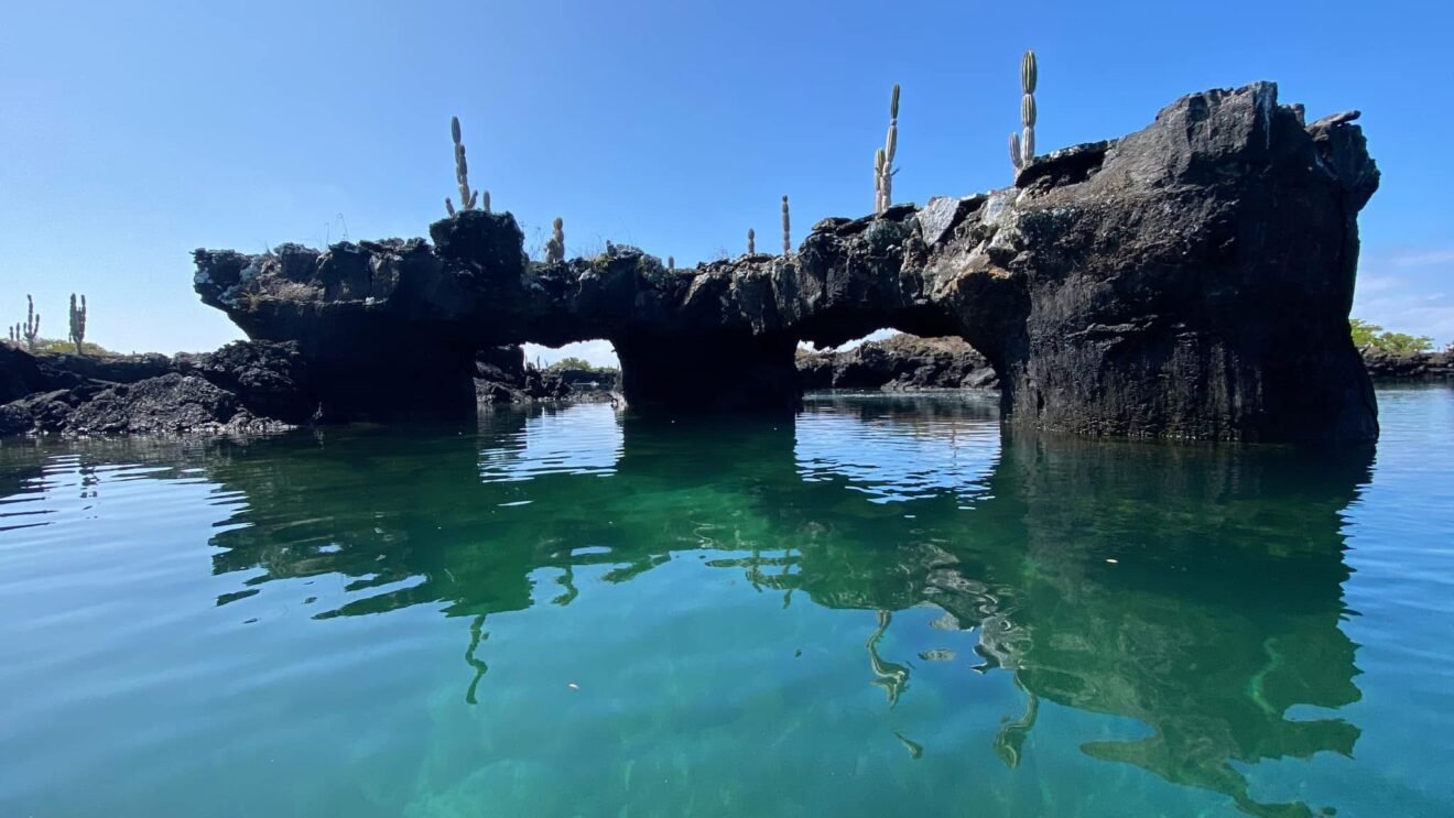 Cabo Rosa Galapagos | Los Tuneles Tour in Isabela