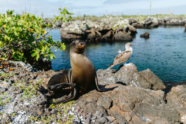 Los Túneles de Cabo Rosa Tour - Image 3