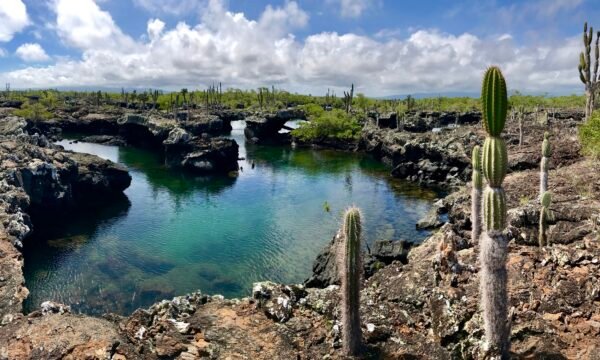 Los Túneles de Cabo Rosa Tour