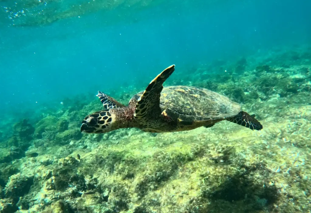 Tour 360 en la Isla San Cristóbal - Galápagos